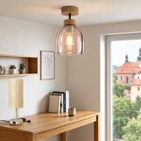 Brilagi LED plafonski luster R GLASS 1xE27/60W/230V preč. 17cm hrast/zadimljena bež | Eponuda.com