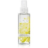 RYOR Face & Body Care osvežilna meglica s hialuronsko kislino 100 ml Cene