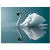  Tapeta - White swan 350x270 | shoptok.hr