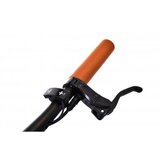 Capriolo E-BIKE BELT DRIVE crno-sivo 925841 | ePonuda.com