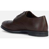 Geox Dark brown men's formal shoes Decio - Men's | Shoptok.si