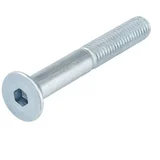 Vijak Imbus M10x70mm 10/1