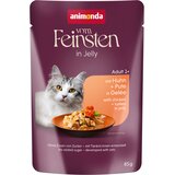  Ekonomično pakiranje animonda Vom Feinsten Adult Raffinesse u želeu 48x85g - Bogata piletinom s puretinom Cijene