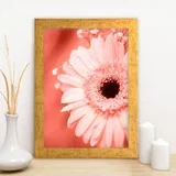Uokvirena slika AC12535086883, 24x29 cm