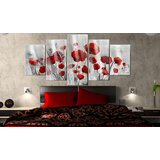  Slika na akrilnom staklu - Scarlet Cloud [Glass] 200x100 | shoptok.hr