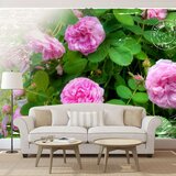  Tapeta - Summer garden 400x280 Cijene