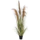  PAMPAS 145CM U SAKSIJI PVC BIZZOTTO u