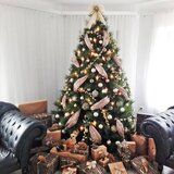  Novogodišnja jelka Sierra 150cm KFB 545 | Eponuda.com