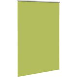 Rolo zavjesa za zamračivanje, zeleno lišće, 150x230 cm, širina tkanine 146,6 cm, poliester | shoptok.hr