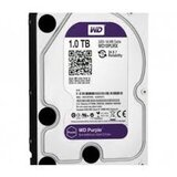 Western Digital 1TB SATA3 HDD Purple | Eponuda.ba