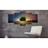  Slika - Starry Nights 100x50 | shoptok.hr
