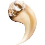 L´Oréal Paris L'Oreal Professionnel Šampon za Obnovu Kose, Dopunsko pakovanje, 500 ml | Eponuda.com