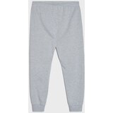 Sinsay Jogger trenirka hlače | shoptok.hr