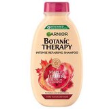 Garnier Botanic Therapy Ricin Oil & Almond Šampon 400 ml Cene