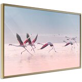  Poster - Flamingos Breaking into a Flight 30x20 | shoptok.hr