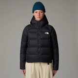 The North Face ženska jakna hyalite down hoodie | ePonuda.com