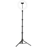  Tripod style + Ring light HQ-10 10” | Eponuda.ba