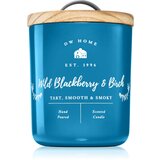 DW Home Farmhouse Wild Blackberry & Birch dišeča sveča 255 g | Shoptok.si