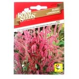  Ruski Limoniium Royal Seeds Cijene