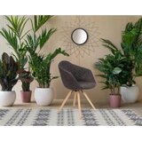 Kayoom SET NASLANJAČEV, les, tekstil rjava, črna | Shoptok.si