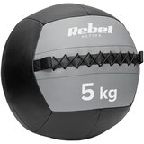 Rebel ACTIVE Medicinska lopta za vežbanje, 5 kg, model RBA-3107-5 Cene