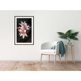  Poster - Pale Pink Lilies 20x30 | shoptok.hr
