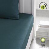 Today DH 180/200+30 Coton Organic Paon Blue | shoptok.hr