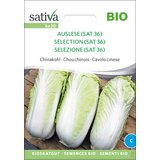 Sativa Bio kitajsko zelje "Izbira (Sat36)" Cene