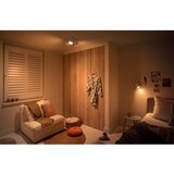 Philips 50601/31/P0 - LED spot svetiljka BUKKO LED/4,5W/230V | Eponuda.com