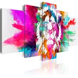  Slika - Colours of the King 200x100 Cijene