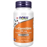 Now Foods L-karnitin NOW, 250 mg (60 kapsula) | shoptok.hr