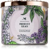 Bath & Body Works Fresh Cut Lilacs dišeča sveča 411 g | Shoptok.si