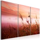  Slika - A silent meadow 120x80 Cijene