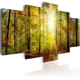  Slika - Mystical Forest 100x50 Cijene