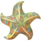 Plišani jastuk/igračka Morska zvijezda 20 cm - zelena | Shoptok.si
