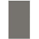 vidaXL Rolo zatemnjena siv 125x210cm tkanina širina 121,6cm poliester Cene