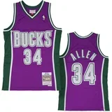muški Ray Allen 34 Milwaukee Bucks 2001-02 Mitchell & Ness Swingman dres