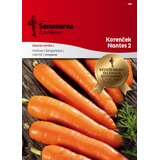  Korenček "Nantes 2" - 7 g | Shoptok.si