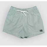 Quiksilver Everyday Deluxe Volley 15 Boardshorts forest | Shoptok.si