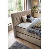 Premium Living Postelja Z Vzmetnico Prestige, Svetlo Rjava, 160x200 | Shoptok.si