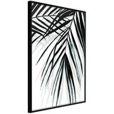  Poster - Leaf and Its Shadow 40x60 Cijene
