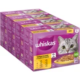 Whiskas 72 + 24 gratis! Mega pakiranje mokra mačja hrana 96 x 85 g - Perutninski izbor v želeju