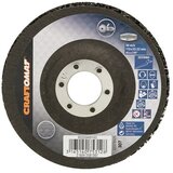 CRAFTOMAT Ploča za čišćenje (Promjer: 115 mm) | shoptok.hr