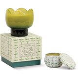 Paddywax Tulip Verbena & Lemongrass dišeča sveča 155 g | Shoptok.si