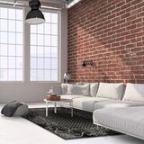 FD Temno siva preproga 240x330 cm Soft – | Shoptok.si