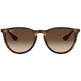 Ray-ban Ženske Sunčane naočale Ray Ban RB4171 Brown Cijene