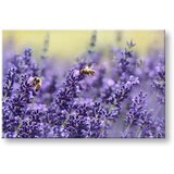  Slike na platnu cveće | ePonuda.com