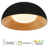  led plafonska lampa FK2005-28C bk Cene