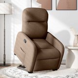 Maison Chic Naslanjač - Relax naslanjač s funkcijo vstajanja rjavo blago, (22042201) | Shoptok.si