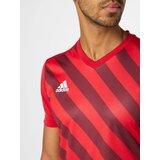 Adidas Funkcionalna majica 'Entrada' rdeča / burgund / bela | Shoptok.si